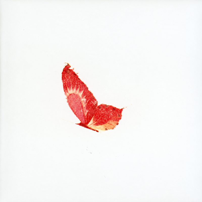 Kitchen tile no. 5 (12 × 12 cm)
