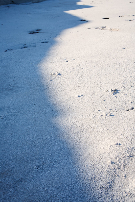 Untitled, Salina di Margherita di Savoia, 2007